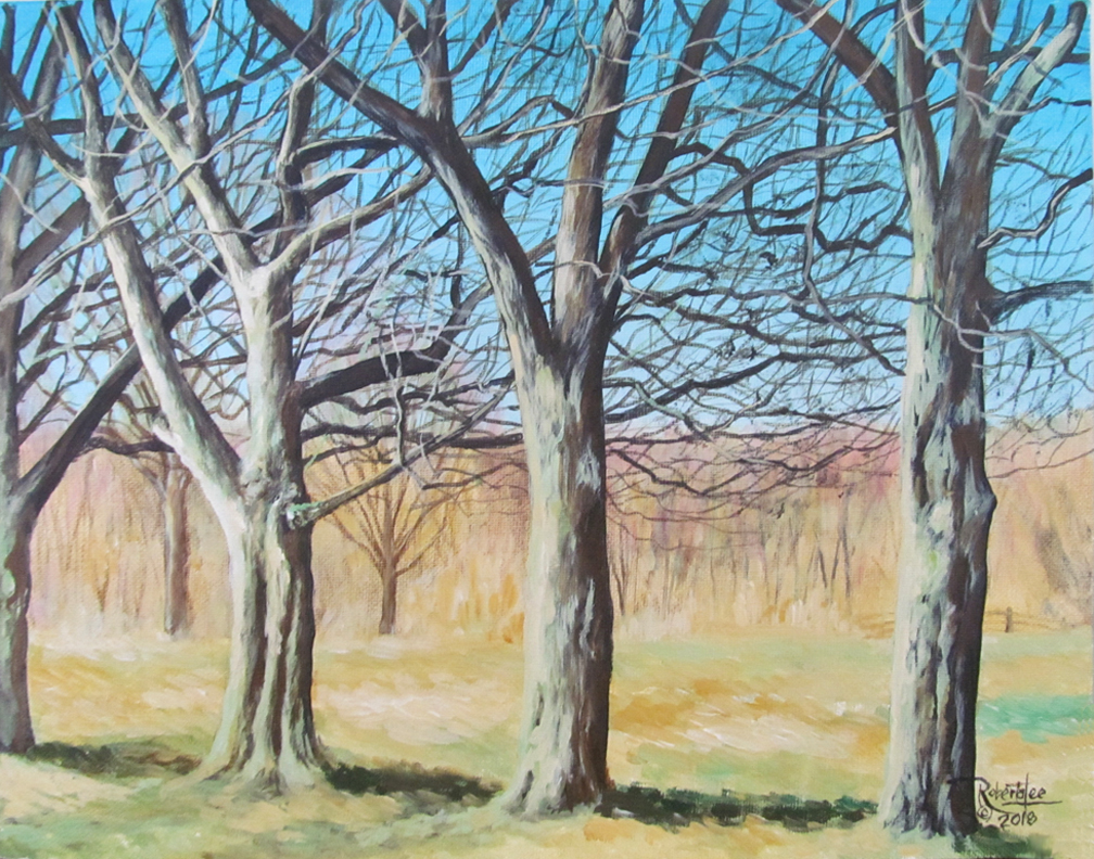 Three Oaks and a Maple