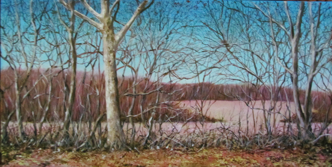 The Big Sycamore