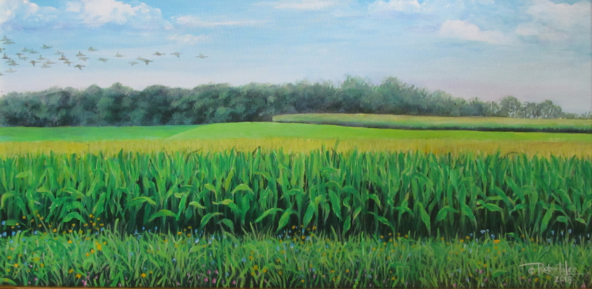 Cornfield - Second Planting