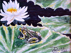 The Frog Pond