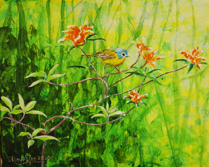 Nashville Warbler & Azalea