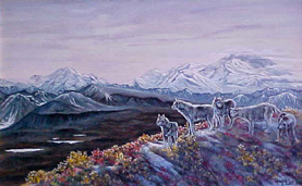 The Shadow of Denali